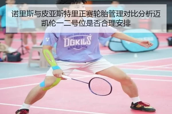 诺里斯与皮亚斯特里正赛轮胎管理对比分析迈凯伦一二号位是否合理安排