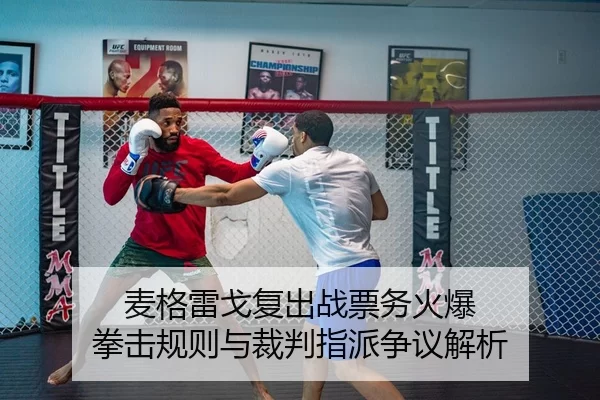 mai-ge-lei-ge-fu-chu-zhan-piao-wu-huo-bao-quan-ji-gui-ze-yu-cai-pan-zhi-pai-zheng-yi-jie-xi-1-726.jpg